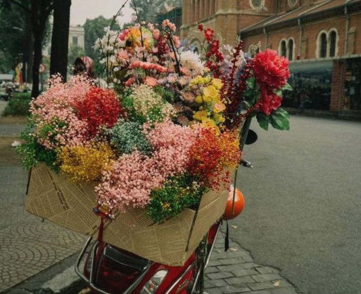 Floral workshop
