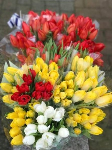 Floral creation 1