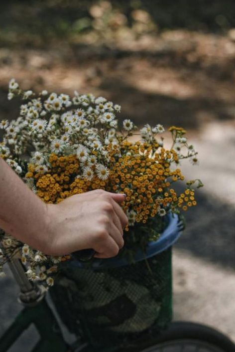 Floral Workshop
