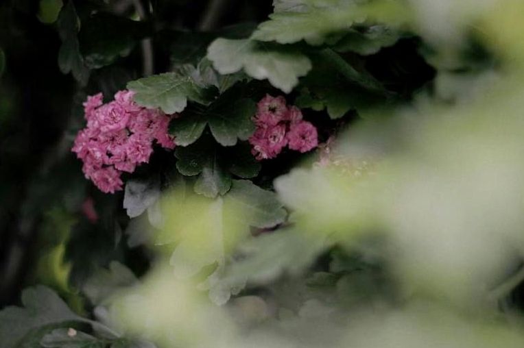 Bouquets and 3