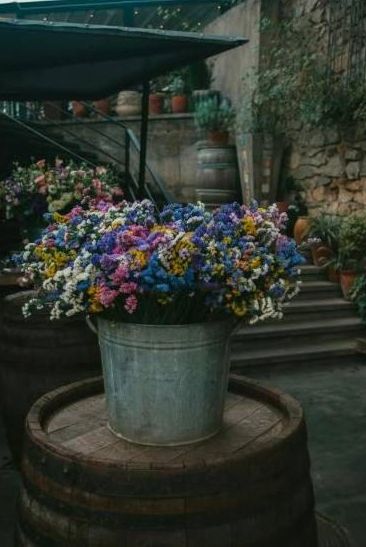 Bouquets and Sydney Express - featured