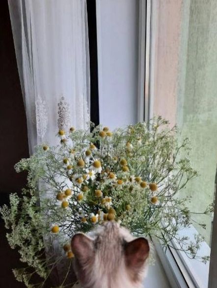 Elegant bridal bouquet