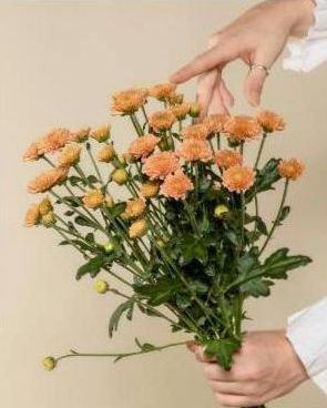 Bouquets and inspiration 3
