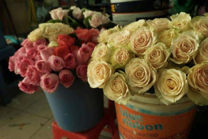 Modern arrangement - close-up view