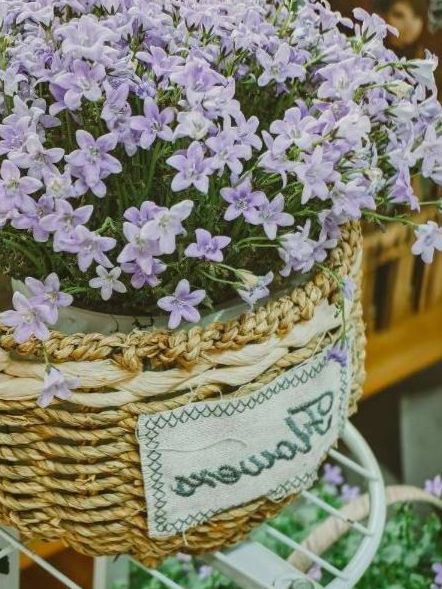 Bouquets and design #5 - general view