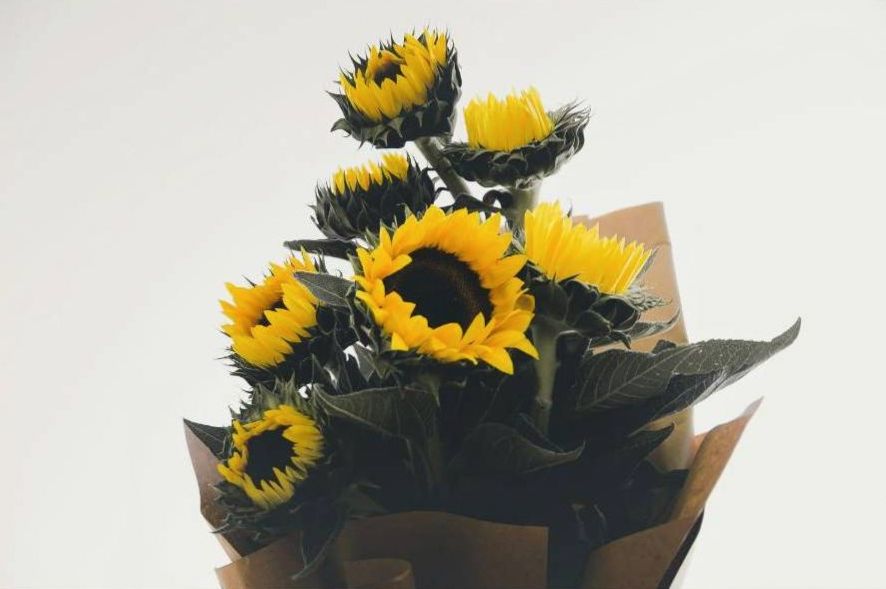 Bouquets and #5 - cream variant