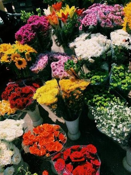 Bouquets and #5 - red variant