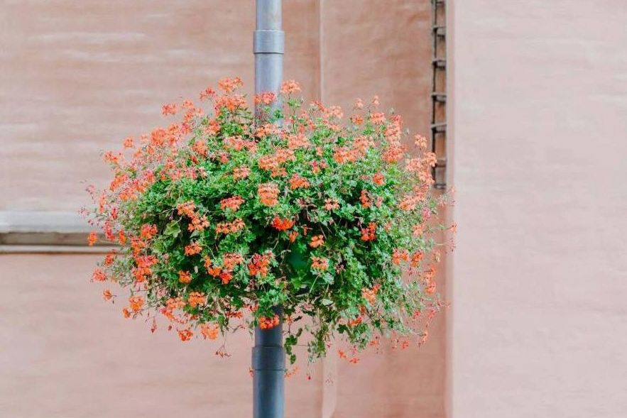 Romantic bouquet