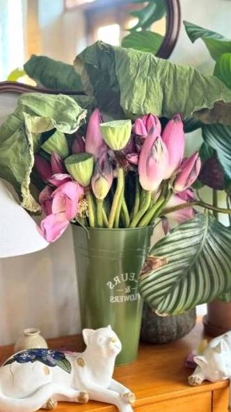 Delicate arrangement