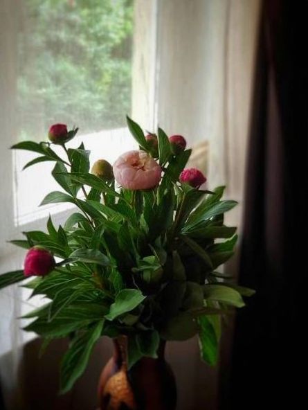 Elegant rustic composition